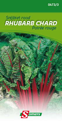 [03-004733] Rode snijbiet RHUBARB CHARD - ca 5 g
