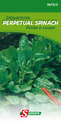 [03-004753] Poirée a couper PERPETUAL SPINACH - ca 5 g