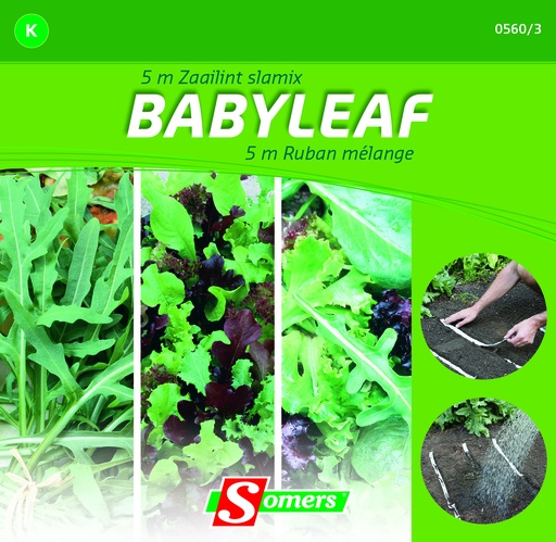 [03-005603] Babyleaves ZAAILINT SLAMIX - ca 5 m