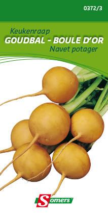 [03-003723] Navet potager BOULE D'OR - ca 5 g