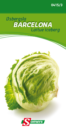 [03-004153] Laitue iceberg BALMORAL - ca 0,8 g