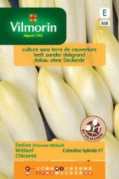 [03-000868] Chicorée witlof CRENOLINE F1 - ca 4 g