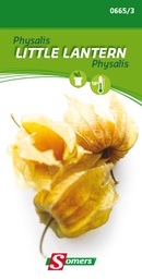 [03-006653] Physalis edulis of ananaskers LITTLE LANTERN - ca 2 g