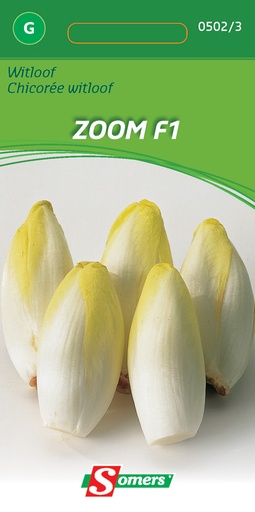 [03-005023] Chicorée witlof ZOOM F1 - ca 4 g