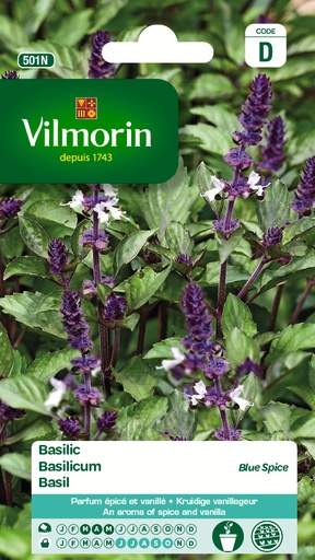 [03-000501] Basilicum BLUE SPICE - ca 1 g