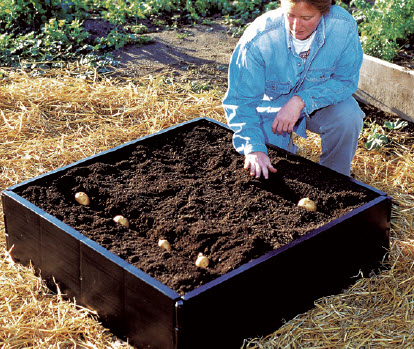 [12-003989] Growbed 230 L
