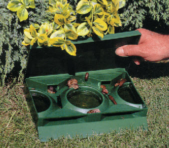 [12-008611] Slakkenval