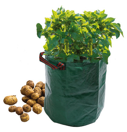 [12-007346] Kweekzak voor aardappelen