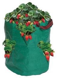 [12-007347] Sac à cultiver pour fraises