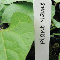 [12-007946] Kunststof etiketten - 12,5 cm - 50 st