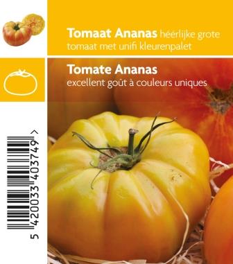 [MR-3600] Ananastomaat - 1 plantje