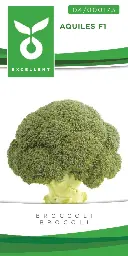 [04-000173] Broccoli MARCUS F1 (AQUILES F1)- ca 50 z
