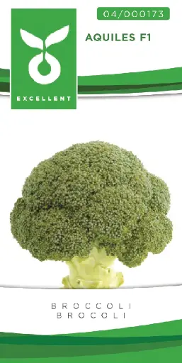 [04-000173] Broccoli MARCUS (AQUILES) F1 - ca 50 z