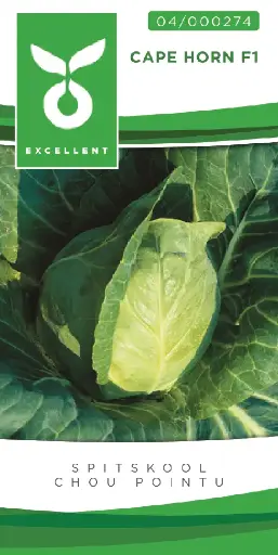 [04-000274] Spitskool CAPE HORN F1 - ca 75 z