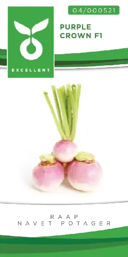 [04-000521] Navet potager PURPLE CROWN F1 - ca 4 g
