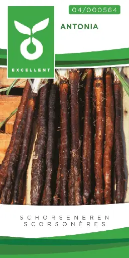 [04-000564] Schorseneren HOFFMANNS SCHWARTZE (Antonia) - ca 4 g