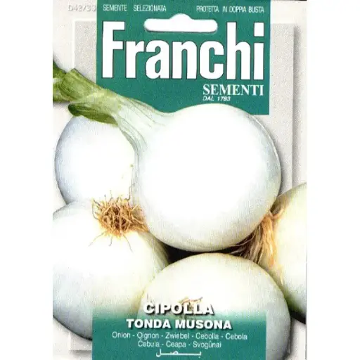 [02-880642] Oignon à semer blanc GRAND ROND BLANC (Tonda Musona) - ca 4 g