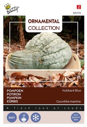 [02-024772] Pompoen LARGE BLUE HUBBARD - ca 3 g