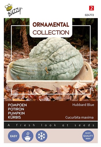 [02-024772] Pompoen LARGE BLUE HUBBARD - ca 3 g