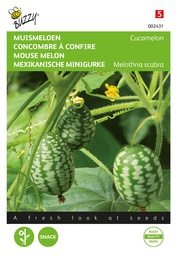 [02-002431] Concombre à confire, Cucamelon - ca 15 s