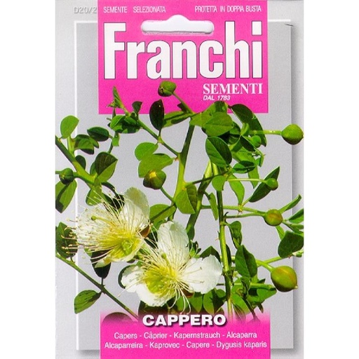 [02-880704] Kappertjes CAPPARIS SPINOSA - ca 1 g