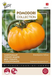 [02-028475] Vleestomaten GRAPPA GIALLA - ca 1,5 g