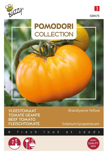 [02-028475] Vleestomaten GRAPPA GIALLA - ca 1,5 g
