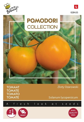 [02-028435] Tomaten ZLOTY OZAROWSKI (Arancia)  - ca 1,5 g