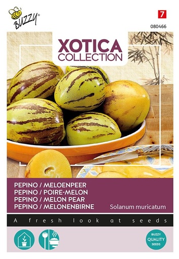 [02-080466] Pepino SOLANUM MURICATUM Meloenpeer - ca 15 z