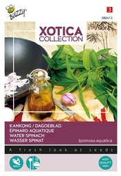 [02-080412] KANKONG of DAGOEBLAD - ca 3 g