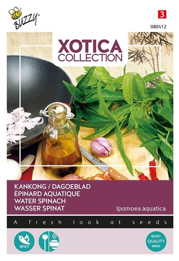 [02-080412] KANKONG of DAGOEBLAD - ca 3 g