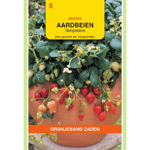 [02-660004] Hangaardbeien TEMPTATION - ca 25 z