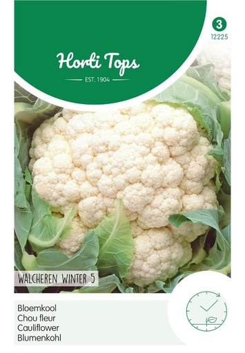 [02-012225] Chou-fleur WALCHEREN HIVER 5 - ca 0,5 g