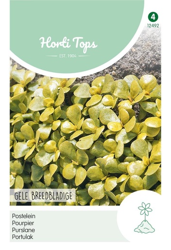 [02-012492] Pourpier DORE A LARGE FEUILLE - ca 5 g