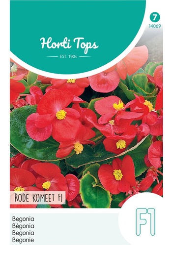 [02-014069] Begonia red COMET F1 - ca 700 s