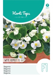 [02-014071] Begonia white COMET F1 - ca 700 s