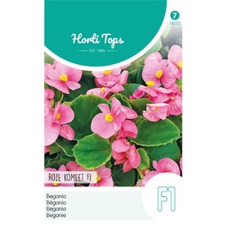 [02-014073] Begonia roze KOMEET F1 - ca 700 z