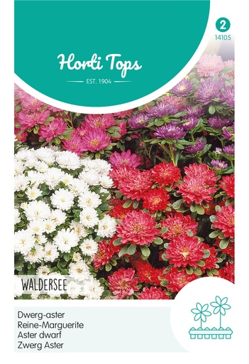 [02-014105] Callistephus, Dwerg-aster Waldersee gemengd - ca 0,4g