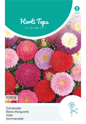[02-014115] Aster POMPON - ca 0,5 g