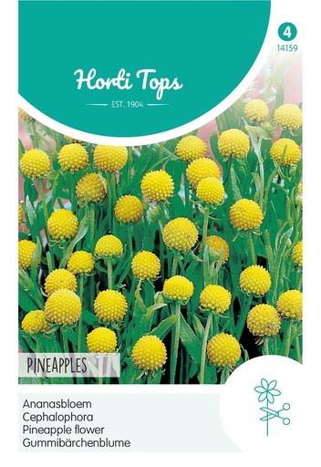 [02-014159] Cephalophora aromatica PINEAPPLES - ca 0,10 g