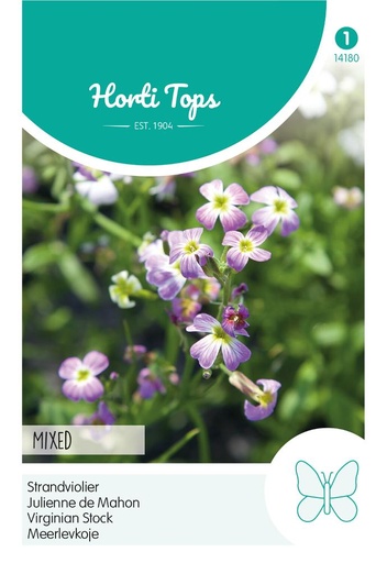 [02-014180] Cheiranthus maritimus - ca 1 g