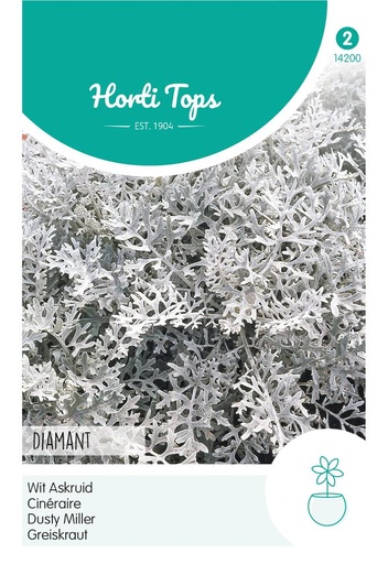 [02-014200] Cineraria wit askruid DIAMANT - ca 0,3 g