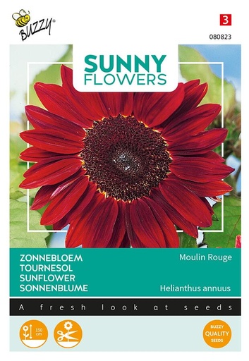 [02-080823] Helianthus annuus MOULIN ROUGE F1 - ca 1 g