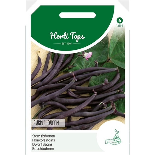 [02-013192] Gekleurde stam- of struikbonen PURPLE QUEEN - ca 100 g