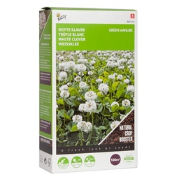 [02-881543] Klaver WITTE - ca 100 g - 100 m²