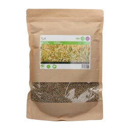 [02-881524] Winterrogge - ca 1 kg - 70 m²