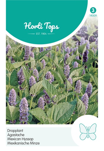 [02-014009] Agastache Mexicana Bleu - ca 0,4g