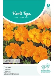 [02-014227] Cosmos sulphureus SUNSET - ca 1 g
