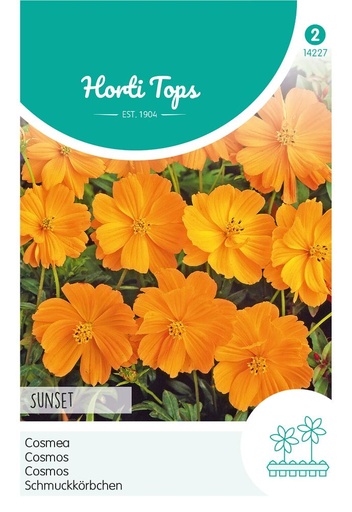 [02-014227] Cosmos sulphureus SUNSET - ca 1 g
