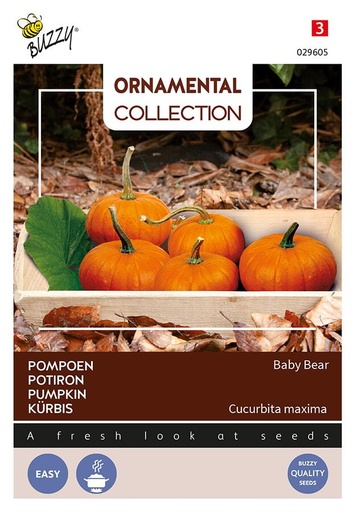[02-029605] Cucurbita BABY BEAR - ca 1, 5 g